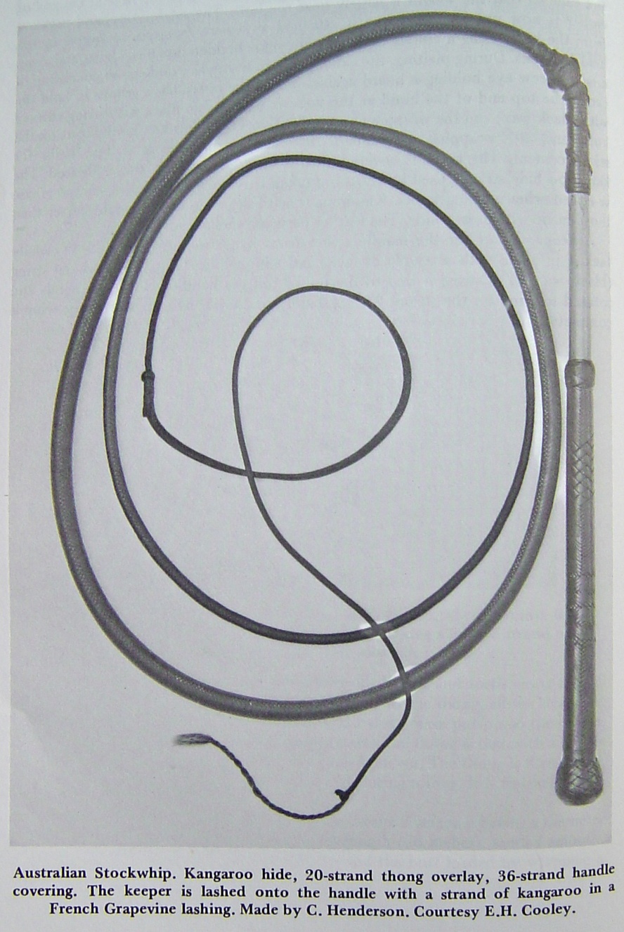 36x20 Plait Half Plait Stockwhip