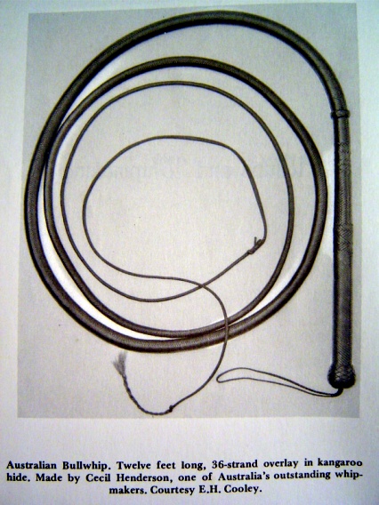 36 Plait Henderson Bullwhip