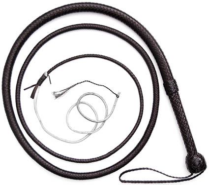 Steve
Townsend 8ft
Bullwhip