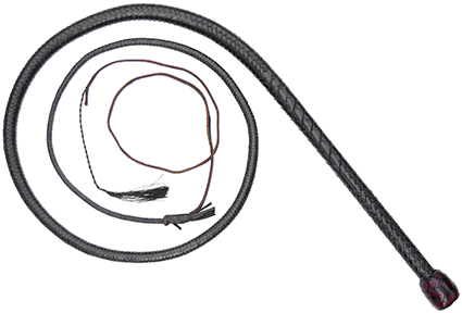 Casey
Target Whip